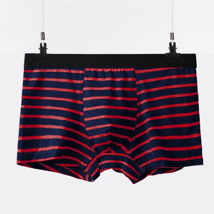 XXXL 165kg 95kg Pamuklu Erkek İç Çamaşırı Seksi Saf Pamuklu Külot Yetişkinler Şerit Sporları 0