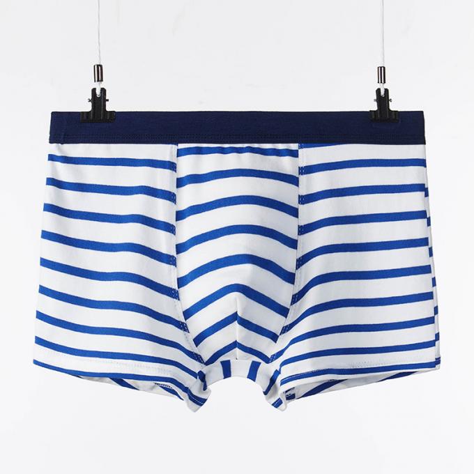 XXXL 165kg 95kg Pamuklu Erkek İç Çamaşırı Seksi Saf Pamuklu Külot Yetişkinler Şerit Sporları 7