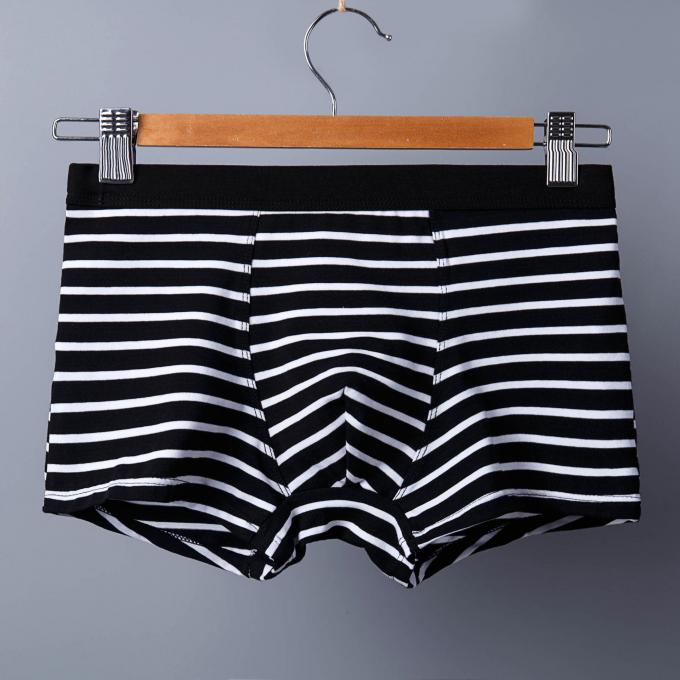 XXXL 165kg 95kg Pamuklu Erkek İç Çamaşırı Seksi Saf Pamuklu Külot Yetişkinler Şerit Sporları 6