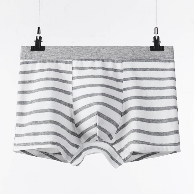 XXXL 165kg 95kg Pamuklu Erkek İç Çamaşırı Seksi Saf Pamuklu Külot Yetişkinler Şerit Sporları 8