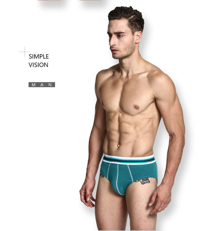 Penye Erkek Seksi Boxer Şort Bikini Yeşil Erkek Saf Pamuklu İç Çamaşırı